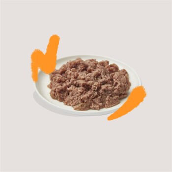 Ein Teller mit feuchtem, zerriebenem Tierfutter mit weicher Textur, umgeben von verspielten orangen Pinselstrich-Akzenten.