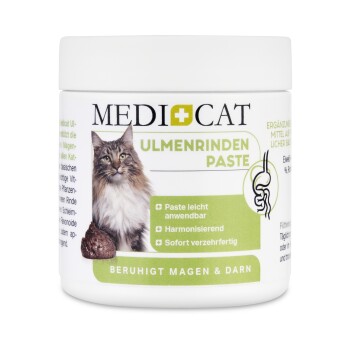 Ulmenrinde Paste