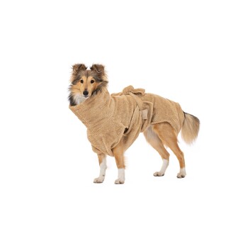 Ein Collie-Hund, der einen beigen, flauschigen Handtuchmantel trägt, steht vor einem weißen Hintergrund.