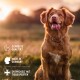 Ein Golden Retriever sitzt auf einem Feld während des Sonnenuntergangs, mit Text, der "Geprüfte Qualität", "Made in Germany" und "Entwickelt mit Tierexperten" anzeigt.