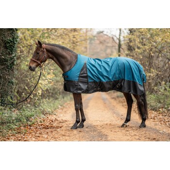 Ein braunes Pferd, das eine blaue und schwarze wasserdichte Decke trägt, steht auf einem Schotterweg, umgeben von herbstlichem Laub.