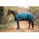 Ein braunes Pferd, das eine blaue und schwarze wasserdichte Decke trägt, steht auf einem Schotterweg, umgeben von herbstlichem Laub.