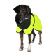Ein mittelgroßer Hund trägt einen leuchtend gelben Regenmantel mit einer schwarzen Kapuze, vor einem weißen Hintergrund stehend.