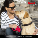 Eine Frau in einem gestreiften Hemd hält eine rote Flexi ausziehbare Hundeleine, während sie mit einem freundlichen gelben Labrador Retriever interagiert.