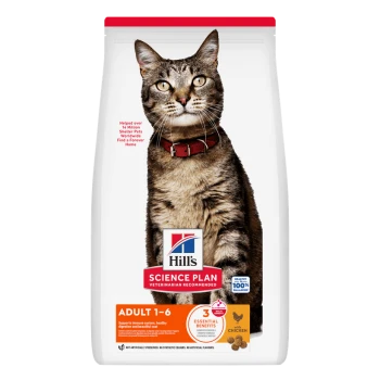 Hill's Science Plan cat food bag with tabby cat; label reads 'Adult 1-6' and 'with chicken'.