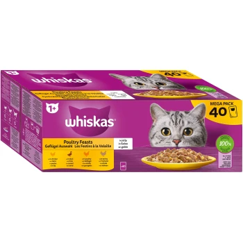 Mega Pack 1+ Geflügel Auswahl in Gelee 40 x 85g Whiskas Geflügel-Feste Katzenfutter-Megapack, mit dem Gesicht einer grauen Katze, 40 Beuteln und einem gelben Teller mit Futter in Gelee.