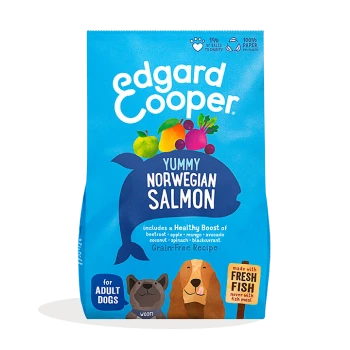 Dog food bag featuring "Edgard Cooper Yummy Norwegian Salmon" with colorful fruits, stating it's a grain-free recipe for adult dogs.