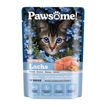Katze Futterbeutel mit dem Gesicht eines Kätzchens und blauen Blumen, beschriftet mit "Lachs", hebt Zutaten und Vorteile hervor.