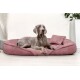 Ein grauer Weimaraner-Hund, der auf einem plüschigen rosa Hundebett mit einem kleinen passenden Kissen entspannt, vor einer hellen Wand.