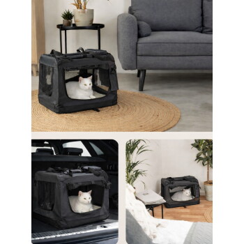 Weiße Katze in schwarzem weichwandigen Netz-Tierträger auf gewebtem Teppich neben einem grauen Sofa; außerdem Abbildungen im Auto und neben Zimmerpflanzen.