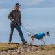 Eine Person in einem karierten Hemd und einer Mütze führt einen Hund mit einer blauen Weste auf einem steinigen Weg am See entlang, mit Bergen im Hintergrund.