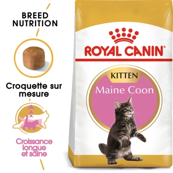 Sac de nourriture pour chatons Royal Canin Maine Coon présentant un chaton Maine Coon joueur, avec un texte mettant en avant la nutrition de la race et des croquettes adaptées.