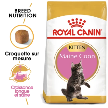 Sac de nourriture pour chatons Royal Canin Maine Coon présentant un chaton Maine Coon joueur, avec un texte mettant en avant la nutrition de la race et des croquettes adaptées.