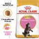 Sac de nourriture pour chatons Royal Canin Maine Coon présentant un chaton Maine Coon joueur, avec un texte mettant en avant la nutrition de la race et des croquettes adaptées.