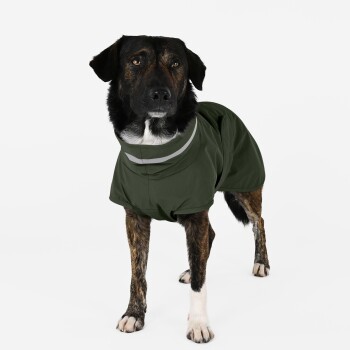 Ein Hund in einem grünen Regenmantel steht vor einem weißen Hintergrund und zeigt sein stilvolles und funktionales Design.