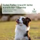 Ein glücklicher Border Collie mit herausgestreckter Zunge, der in einem grasbewachsenen Feld nach oben schaut. Text lautet: "Gutes Futter benötigt keine künstlichen Vitamine."