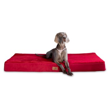 ® STUART ORTHO PLUS - Orthopädische Hundematte dunkelrot 1 m, 13 cm, 80 cm