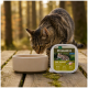 Getigerte Katze trinkt aus einer Schale auf einem Holzdeck im Wald, neben einer Wilderness True Country Adult-Futterschale mit der Aufschrift "WILDERNESS" und "97%".