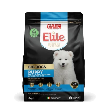 Dog food bag labeled "GAIN Elite" featuring a white puppy on the front, promoting nutrition for big dog puppies, 3kg, chicken & rice flavor.