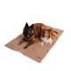 Zwei Hunde, ein Belgischer Tervuren und ein Shetland Sheepdog, liegen zusammen auf einer weichen, beigen Haustierdecke.