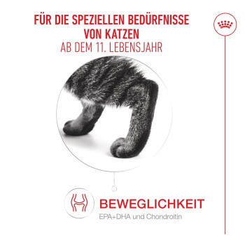 Hinterbeine einer Katze; Text: 'Für die speziellen Bedürfnisse von Katzen ab 11. Lebensjahr; Beweglichkeit EPA+DHA und Chondroitin'.