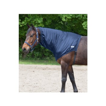 Ein braunes Pferd mit einer marineblauen Halsabdeckung steht in einem sandigen Bereich mit grünen Bäumen im Hintergrund.