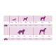 Chien Senior 12 kg