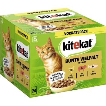 Multipack Bunte Vielfalt in Sauce 24x85 g Kitekat Katzenfutter-Variationspackung mit einer roten Katze, beschriftet mit "Bunte Vielfalt in Sauce," enthält 12 Portionen Huhn, 6 Rind und 6 Lachs.