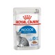 Royal Canin Indoor Sterilised Katzenfutterbeutel, 85g, für sterilisierten Katzen, fördert die Verdauungs- und Harnwegsgesundheit, mit einer grauen getigerten Katze.