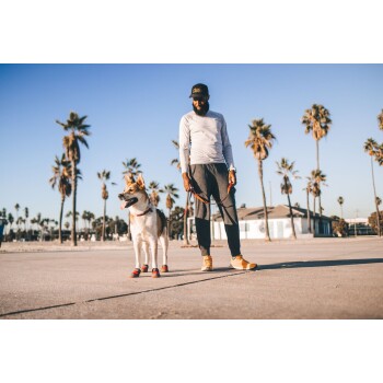 Eine Person steht an einem Strand mit Palmen im Hintergrund und hält eine Leine, die an einem glücklichen Hund mit roten Stiefeln befestigt ist.