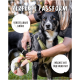 Eine Person passt ein grünes Hundegeschirr an einem schwarzen Hund im Freien an. Der Text lautet "PERFECTE PASSFORM," "VERSTELLBARE GRÖSSE," und "WÄCHST MIT DEM HUND MIT."