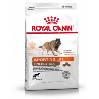 Sporting Life Energy 4300 Trail Chien 15 kg