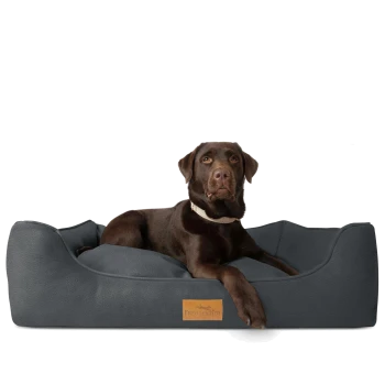 Ein brauner Hund, der auf einem stilvollen grauen Haustierbett mit lederähnlicher Textur entspannt, mit einem Holzschild beschriftet mit "FREUDENFELDER."