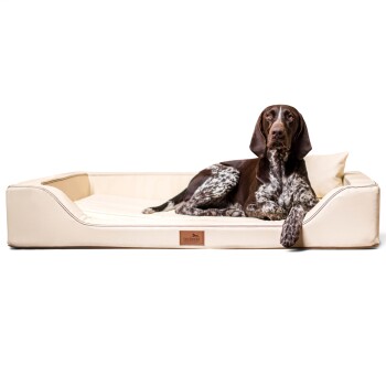 Helle Haustierliege mit einem weichen Kissen und einem kleinen Kissen, mit einem braunen 'tierlando'-Logo auf der Vorderseite.