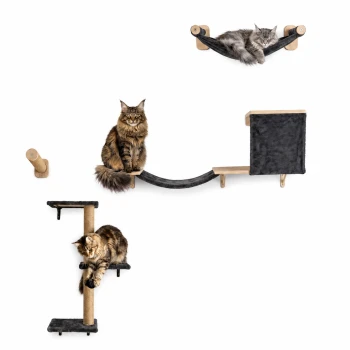 Getigerte Katze schläft in einer grauen wandmontierten Hängematte über grauen Katzenregalen und einem Kratzbaum mit „Designed in Europe“-Etikett.