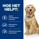 Golden retriever op een blauwe achtergrond met tekst: "Behoudt kraakbeen in de gewrichten," "Behoudt spiermassa," "Ondersteunt een gezond immuunsysteem."