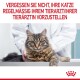 Eine getigerte Katze auf einem Tierarzt-Tisch, gehalten von einer Person im weißen Kittel, mit fettem roten Text, der daran erinnert, regelmäßig zum Tierarzt zu gehen.