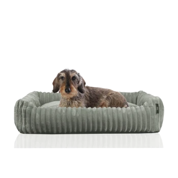 Ein kleiner, brauner Dackel ruht sich bequem in einem plüschigen, hellgrünen Haustierbett mit geripptem Design aus.