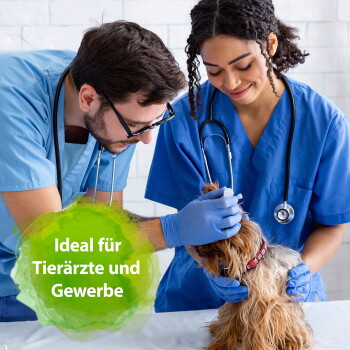 Zwei Tierärzte in blauer Schutzkleidung untersuchen einen kleinen langhaarigen Hund; grünes Abzeichen: 'Ideal für Tierärzte und Gewerbe'.