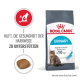 Royal Canin Urinary Katzenfutterbeutel mit einer Katze, mit dem Text, der besagt, dass es einen gesunden Harntrakt in 10 Tagen unterstützt.