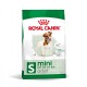 SHN Mini Adult 8 kg