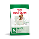 Royal Canin Mini Adult dog food bag with a playful small dog, featuring "Weight maintenance" and "Optimal health support."