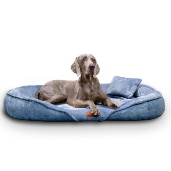 ® XENIA - Orthopädisches Hundebett / Hundesofa hellblau 1,15 m, 20 cm, 90 cm