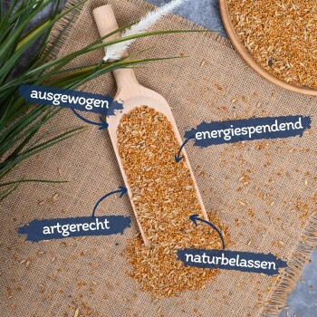Holzlöffel gefüllt mit Samen auf Jute, beschriftet mit 'ausgewogen', 'energiespendend', 'artgerecht' und 'naturbelassen'.