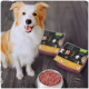 Ein glücklicher, flauschiger Hund sitzt neben einer Schüssel mit rohem Hundefutter, mit zwei Paketen proCani Hundefutter im Hintergrund.
