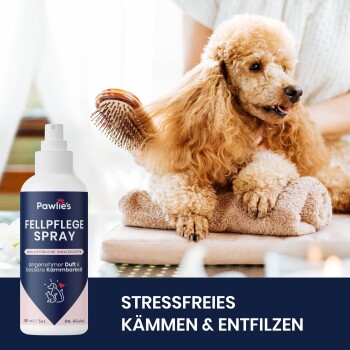 Ein Pudel wird auf einem Handtuch neben Pawlies Fur Care Spray gepflegt, beschriftet mit "100% natürliche Inhaltsstoffe" und "Stressfreies Kämmen."