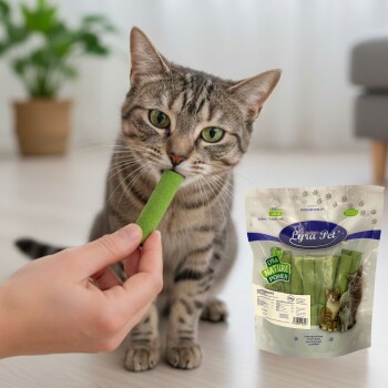 Getigerte Katze schnüffelt an einem grünen Snack-Stick, der von einer Hand gehalten wird; ein Treat-Beutel von Lyra Pet mit der Aufschrift „Nature Power“ ist sichtbar