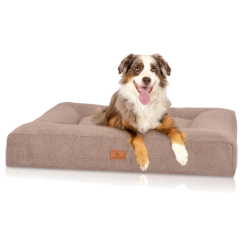 Ein glücklicher Australian Shepherd-Hund mit herausgestreckter Zunge sitzt auf einem plüschigen, beigen Hundebett, mit einem Lederanhänger, auf dem "KNUFFELWUFF" steht.