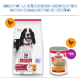 Sac et boîte Hill's Science Plan (Adult 1–6, recette poulet) avec photo de chien ; texte en français « ESSAYEZ LA DÉLICIEUSE ».