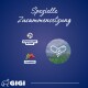 Blauer Hintergrund mit dem Text "Spezielle Zusammensetzung", Icons für "Bärenkrauben-Blätter" und "Cranberry," plus Kapsel- und Pulvergrafik.